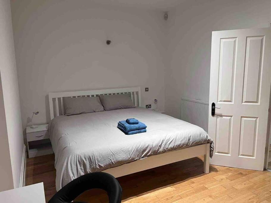 Appartamento 2 Bed Garden Flat West Dulwich Free Street Parking Londra Esterno foto
